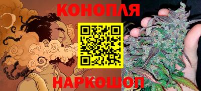 мдпв Новодвинск