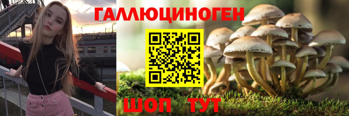 Галлюциногенные грибы MAGIC MUSHROOMS Торжок
